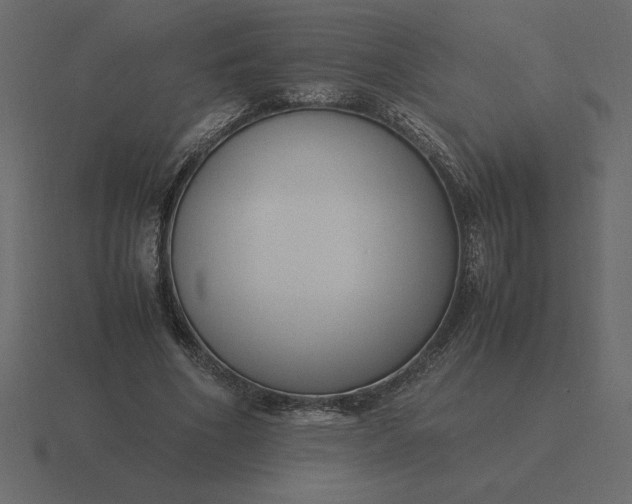 X0000116620586200912241754