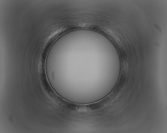 X0000116620587200912241754