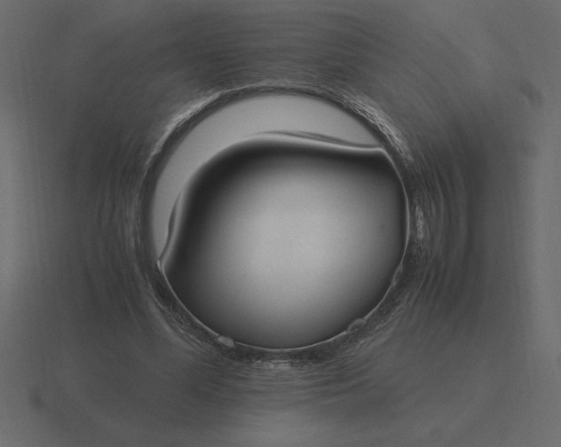 X0000116620588200912241754