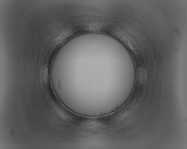 X0000116620589200912241754