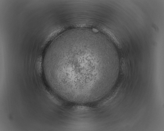 X0000116620590200912241754