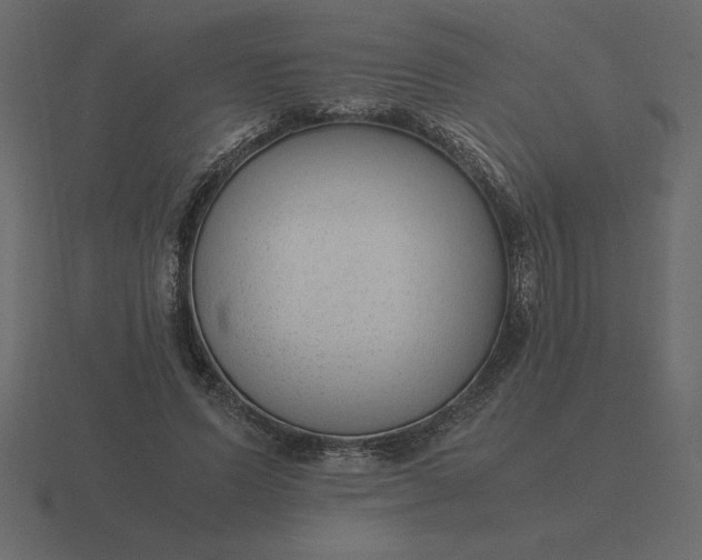 X0000116620591200912241754