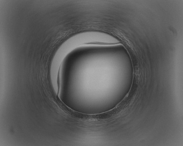 X0000116620593200912241754