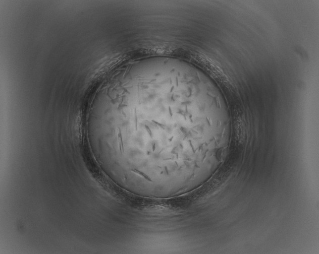 X0000116620594200912241754