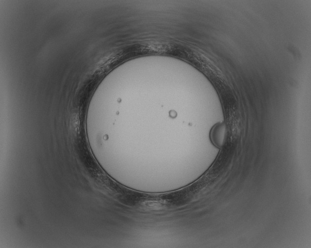 X0000116620595200912241754