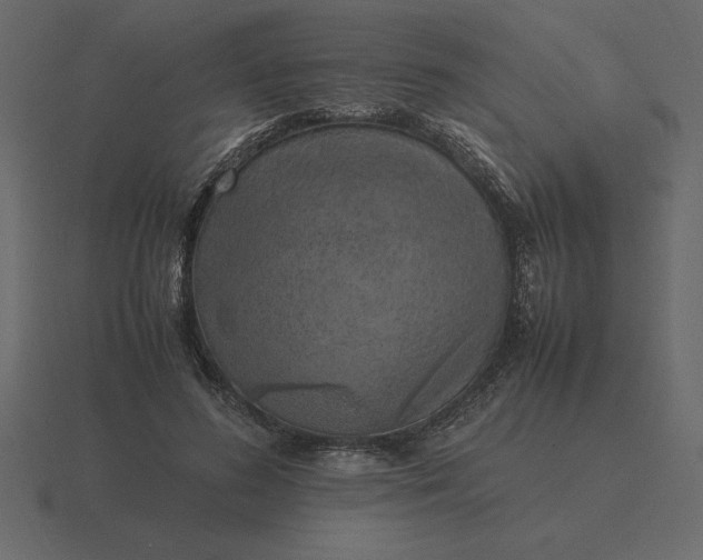 X0000116620596200912241754