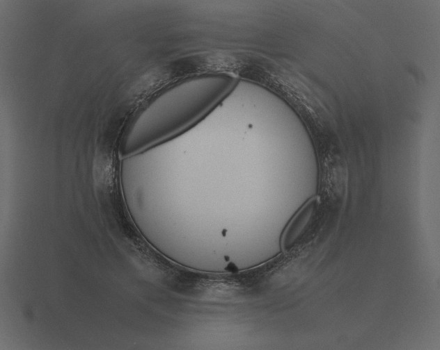 X0000116620597200912241754