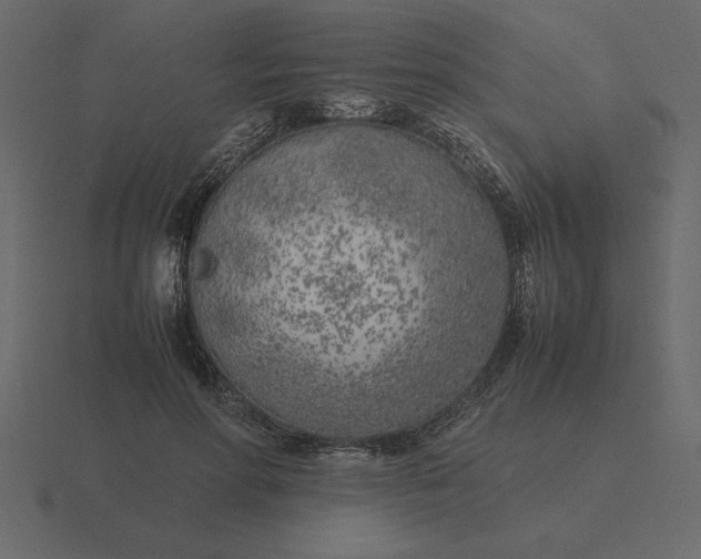 X0000116620598200912241754