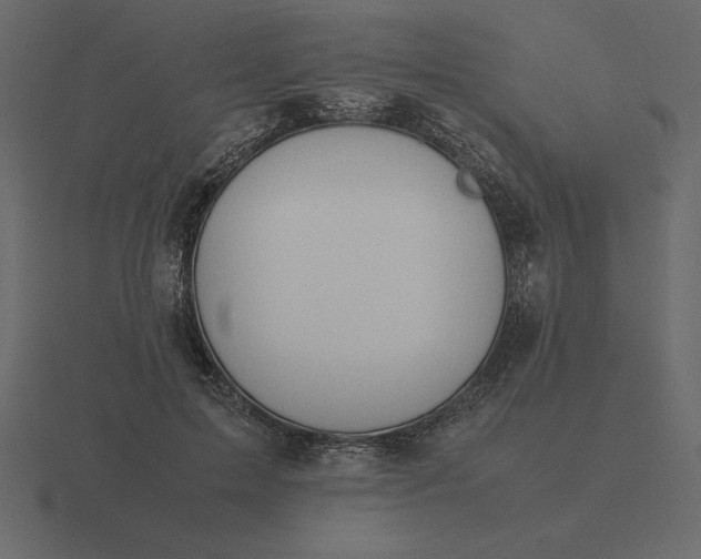 X0000116620599200912241754