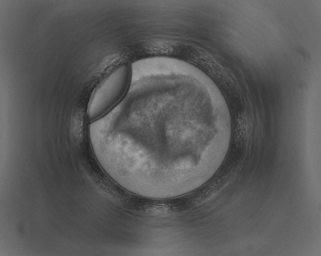 X0000116620600200912241754