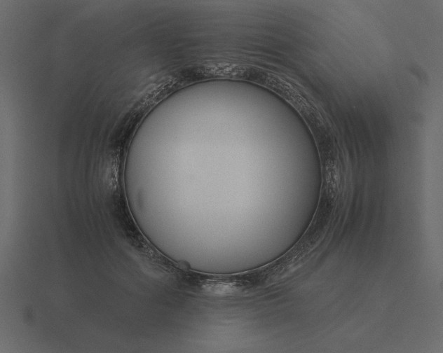 X0000116620602200912241754