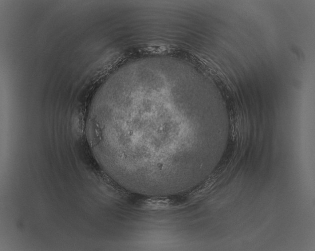 X0000116620606200912241754