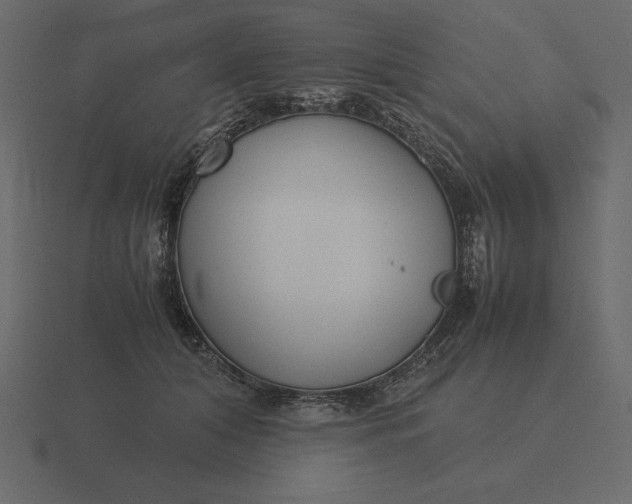 X0000116620608200912241754