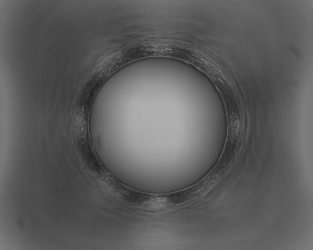 X0000116620609200912241754