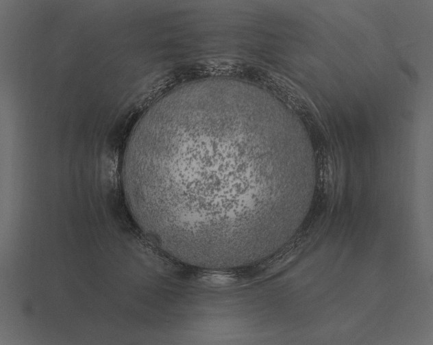 X0000116620610200912241754