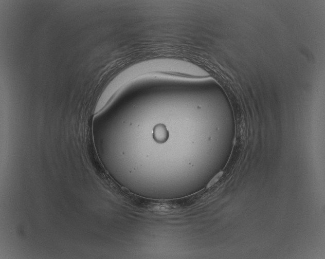 X0000116620611200912241754