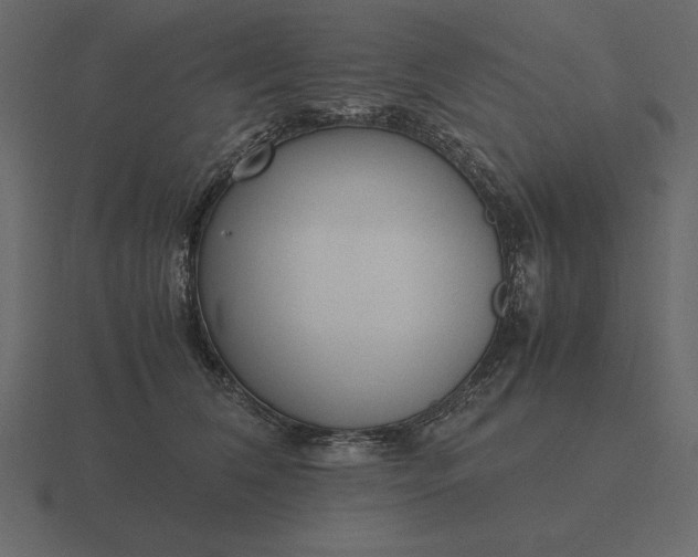 X0000116620612200912241754