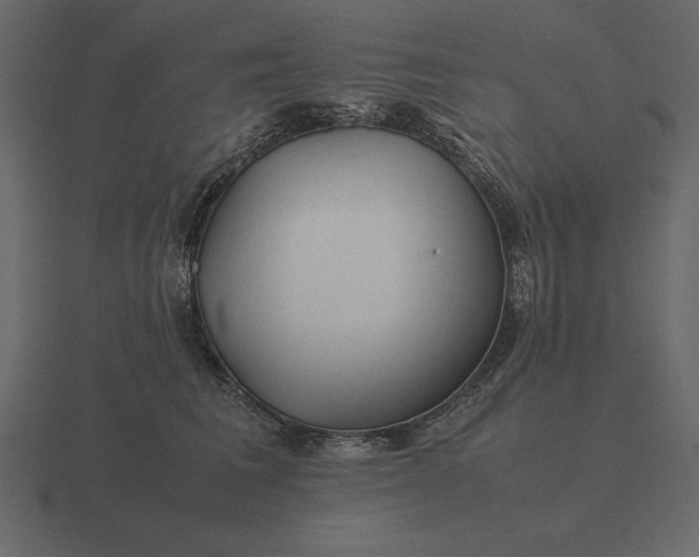 X0000116620613200912241754