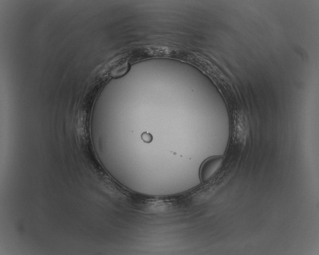 X0000116620616200912241754