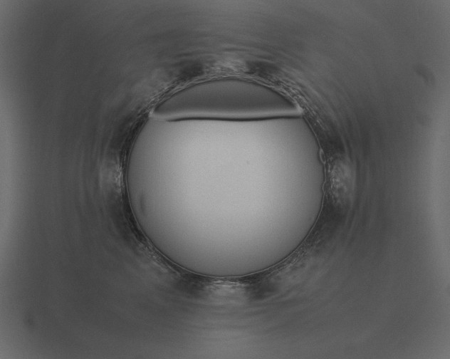 X0000116620617200912241754