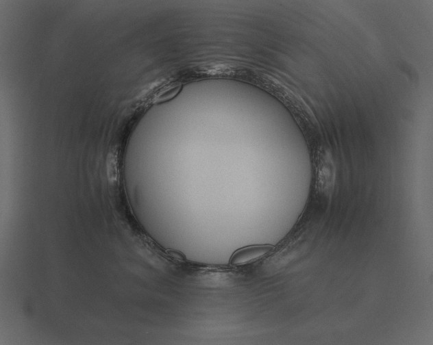 X0000116620620200912241754