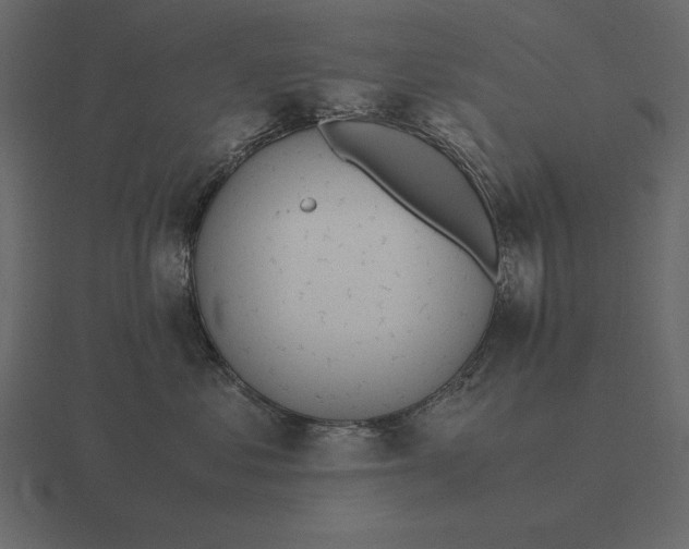 X0000116620621200912241754