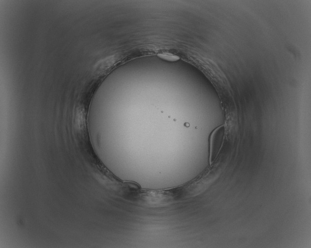 X0000116620623200912241754