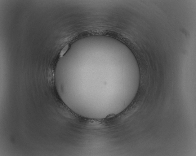 X0000116620624200912241754