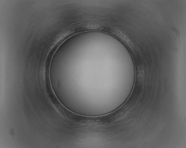 X0000116620626200912241753