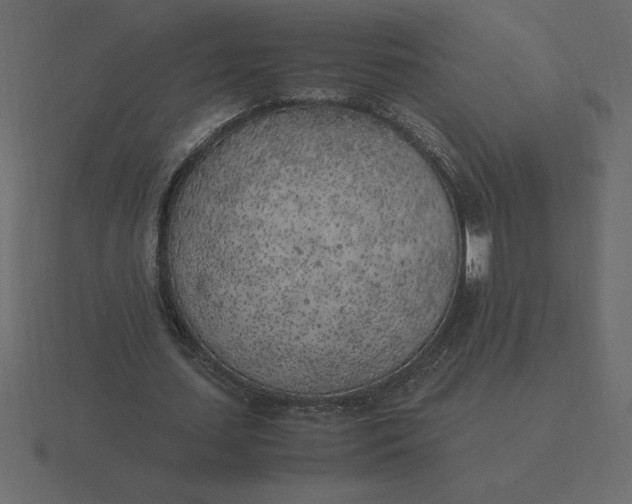 X0000116620627200912241753