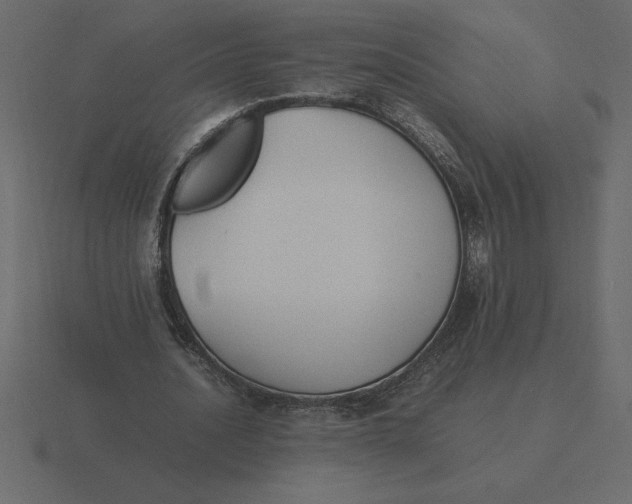 X0000116620628200912241753