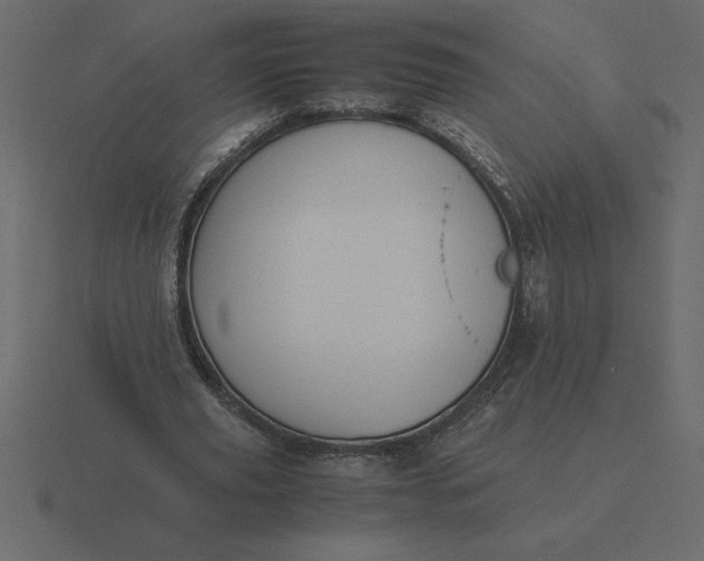 X0000116620629200912241753