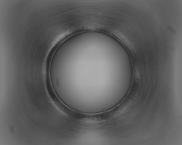 X0000116620630200912241753