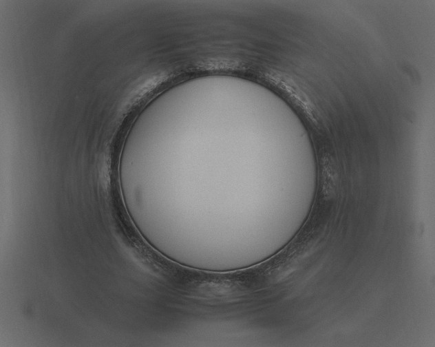 X0000116620631200912241753