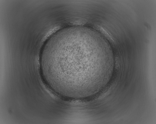 X0000116620634200912241753