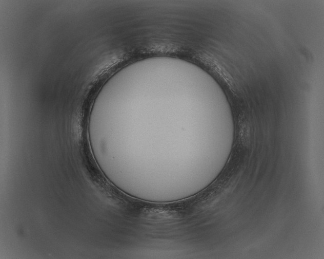 X0000116620635200912241753