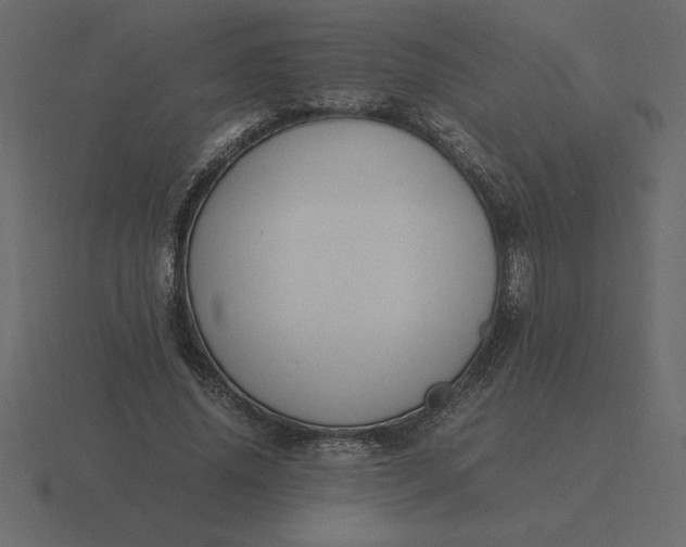 X0000116620636200912241753