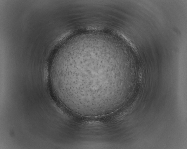 X0000116620637200912241754