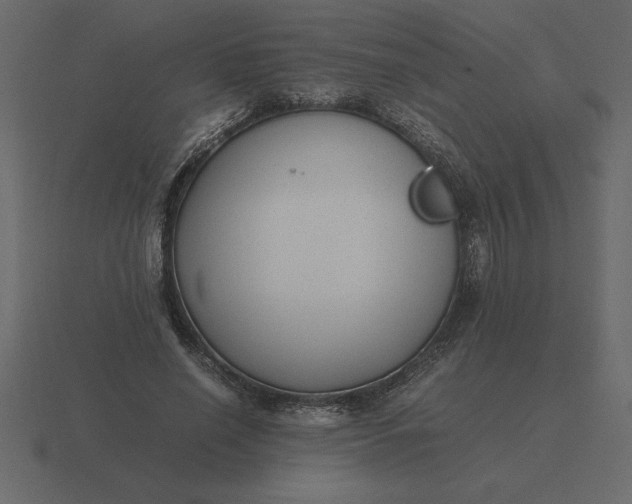 X0000116620638200912241754