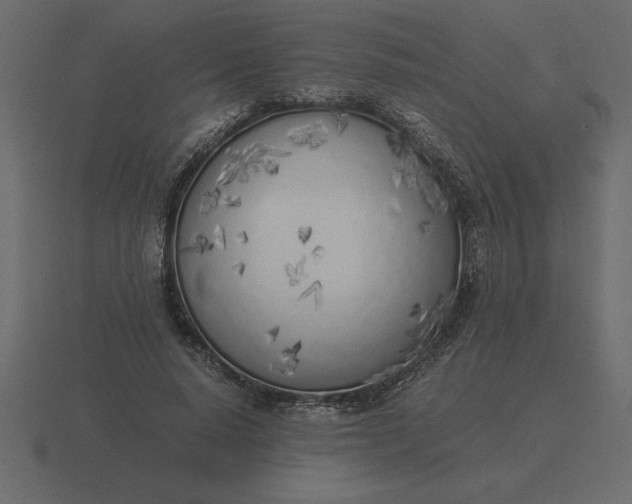 X0000116620640200912241754