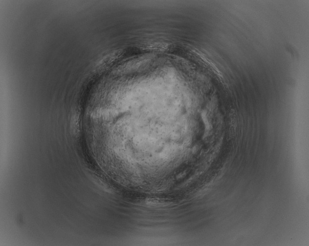 X0000116620641200912241754