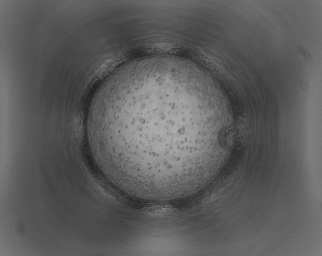 X0000116620642200912241754