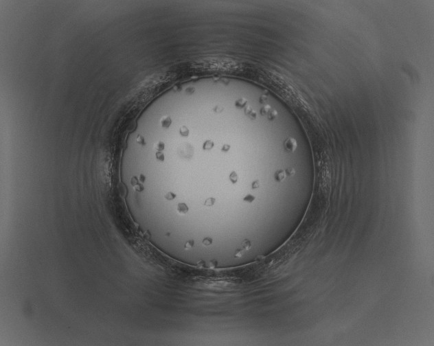 X0000116620643200912241754