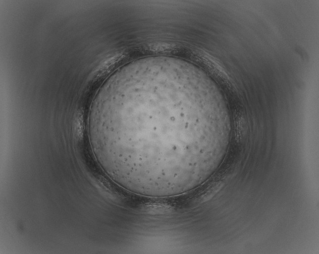 X0000116620644200912241754