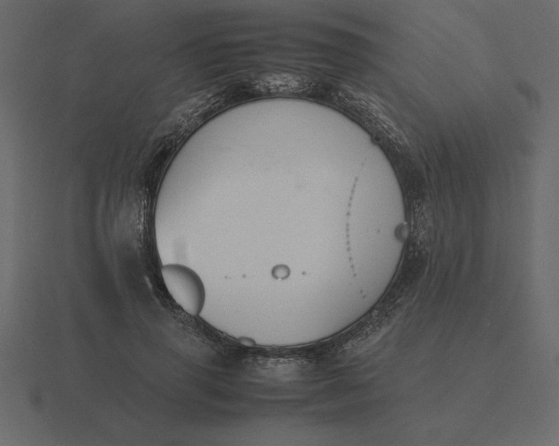 X0000116620645200912241754