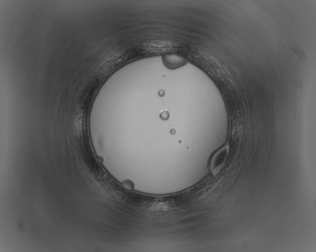 X0000116620647200912241754