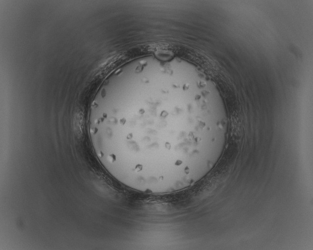 X0000116620648200912241754