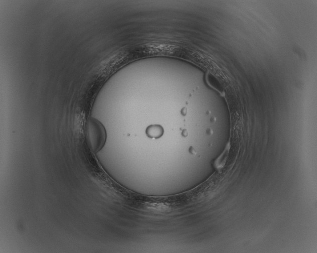 X0000116620649200912241754