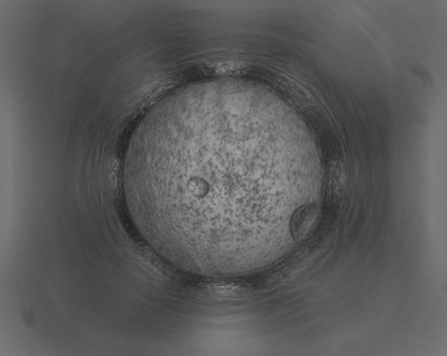 X0000116620650200912241754