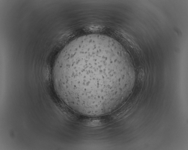 X0000116620651200912241754